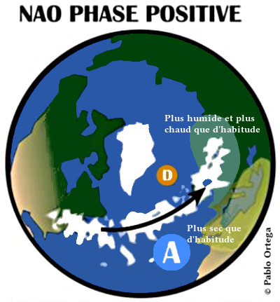 La NAO phase positive